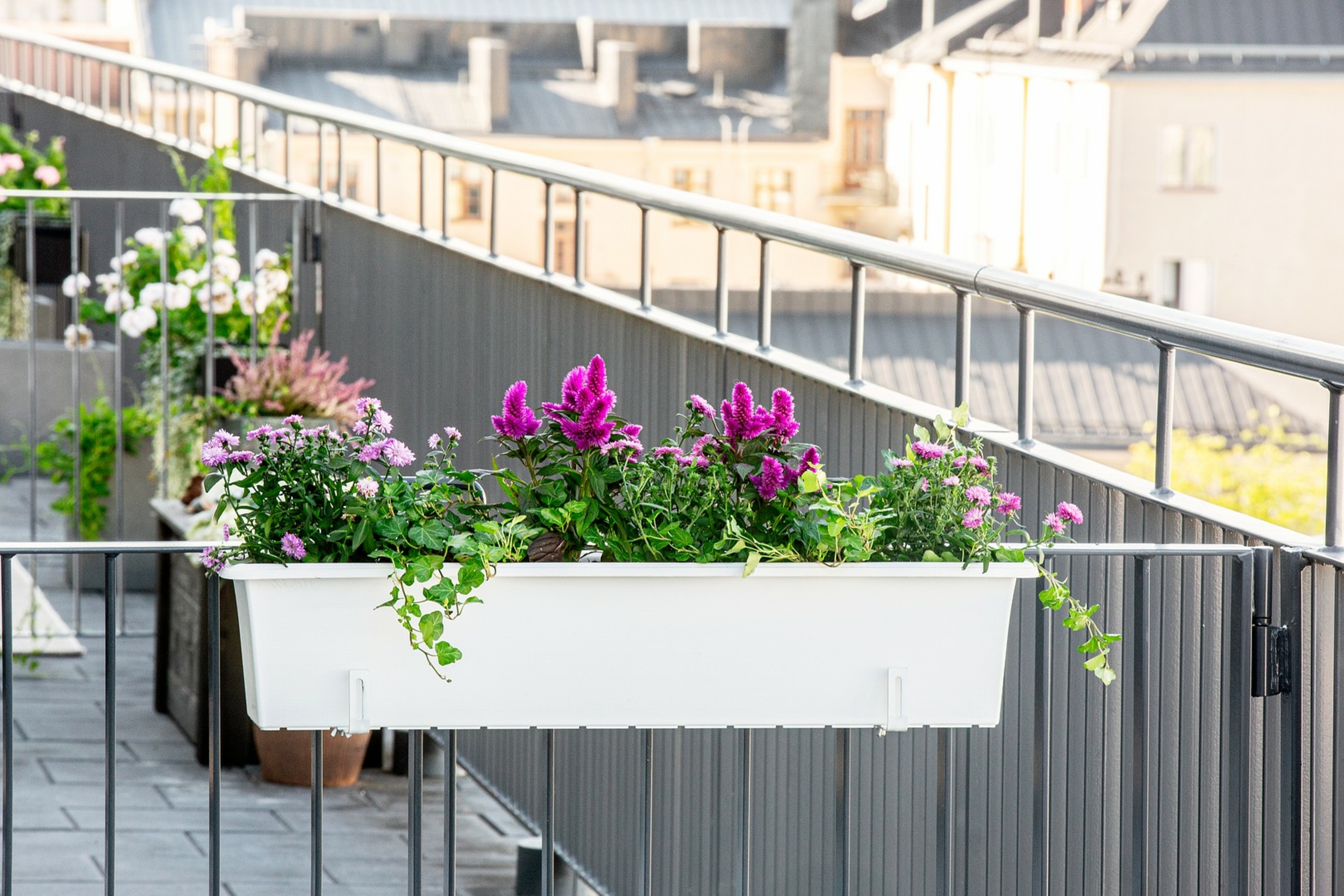 Balconnières standards