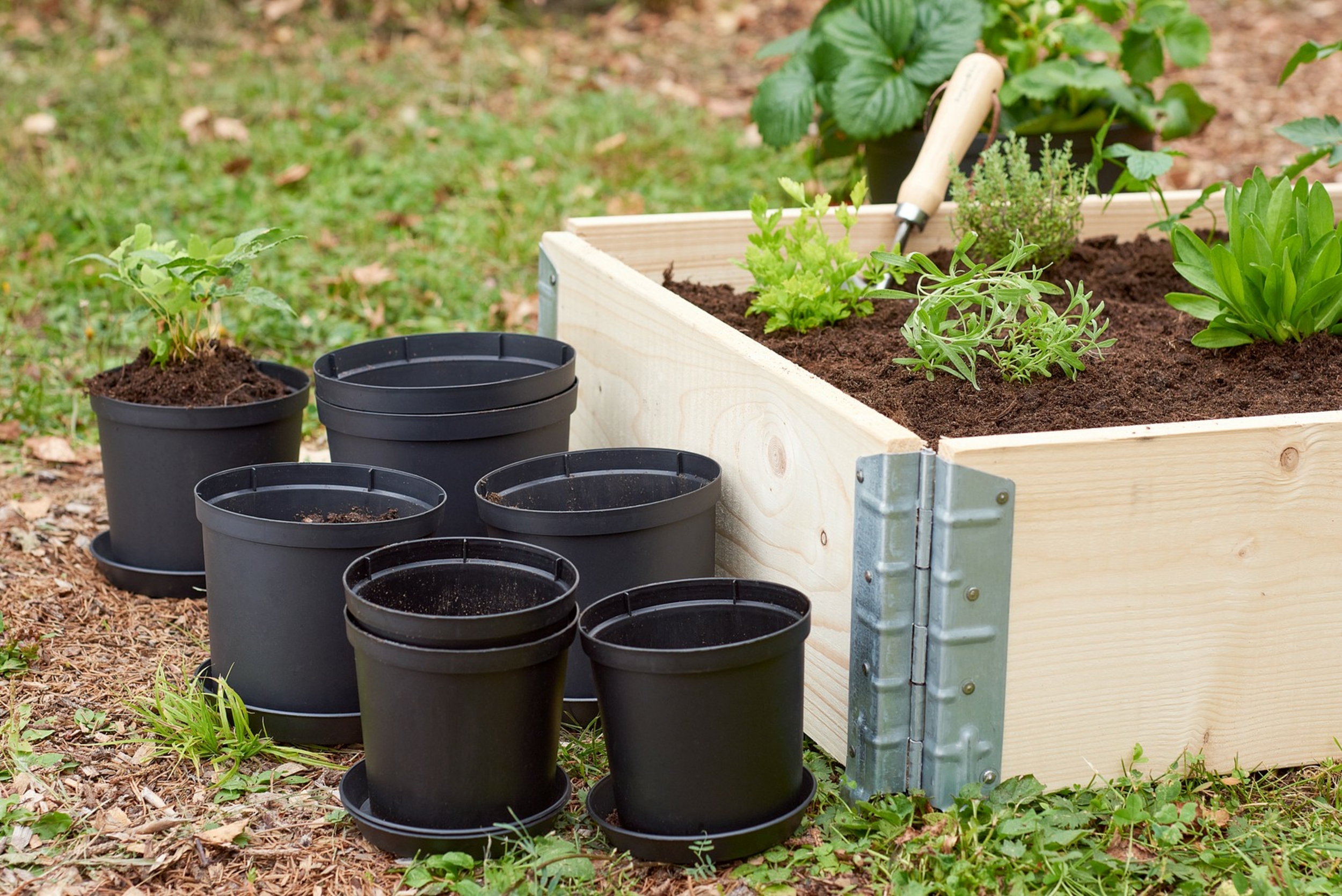 Pots de fleurs