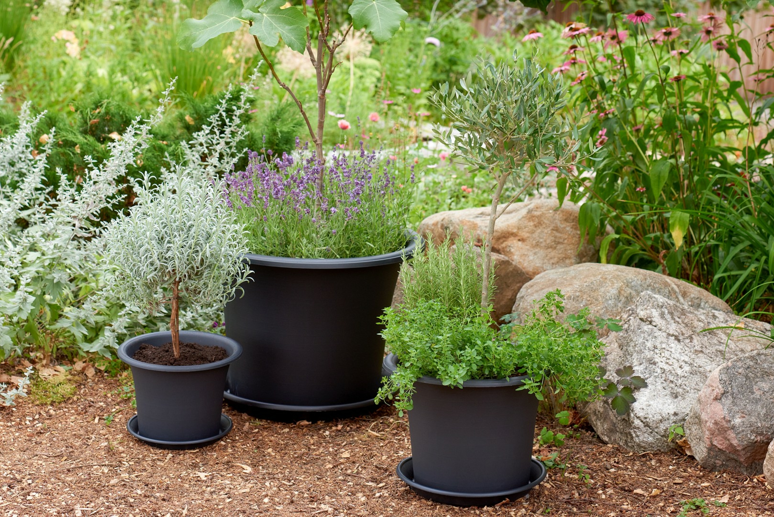 Entretien des plantes recyclé