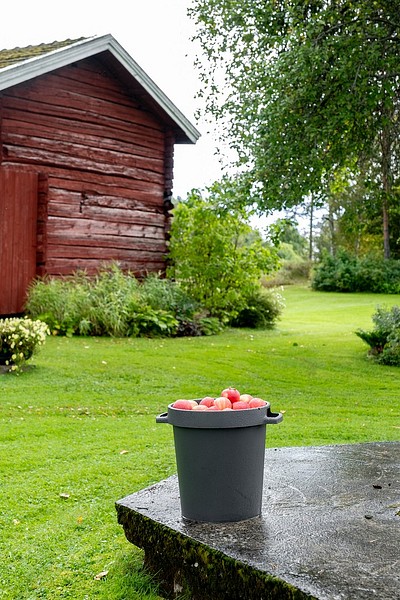Apples in Orthex bin