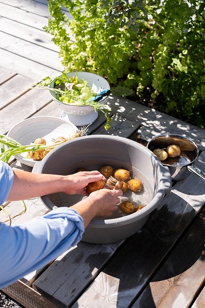 Washing potatoes in Orthex wash bowl