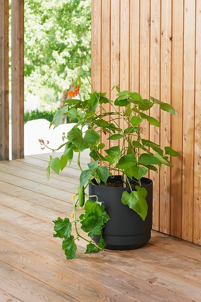 Paulina self-watering pot on a terrace