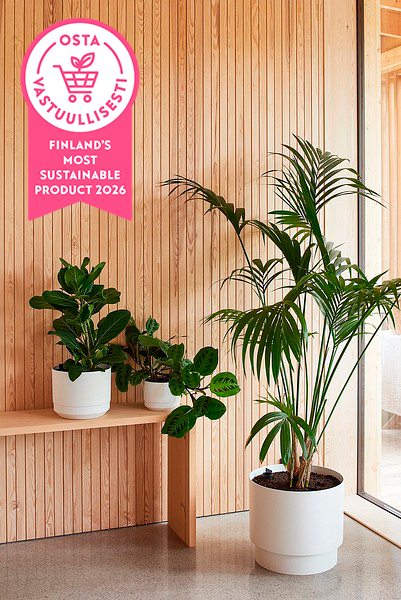 Orthex Paulina self-watering pots with Finland's Most Sustainable Product 2026 logo