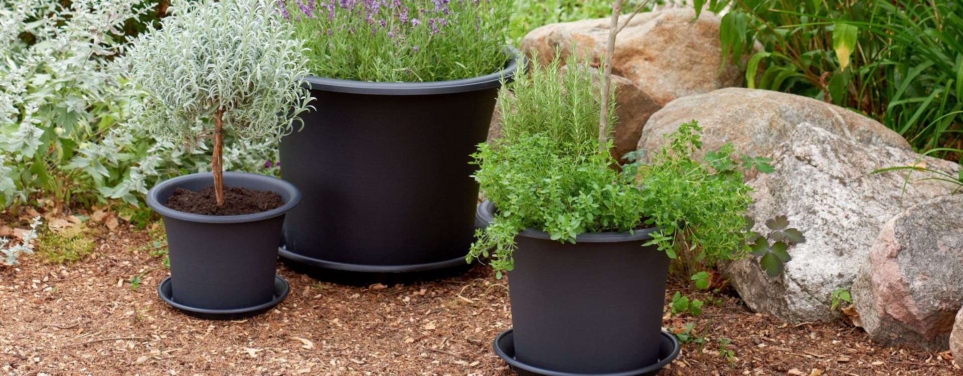 Plastic pot care guide